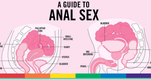 USA anale sesso hentai fratello porno